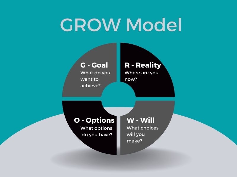 Grow Model: Goal, Reality, Options, Will