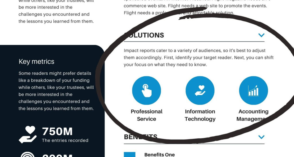 visual example of the methodology or solution section of a case study for coaches and consultants